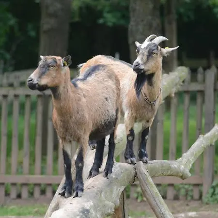 Ferienparadies Pferdeberg Duderstadt