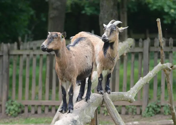 Ferienparadies Pferdeberg Duderstadt